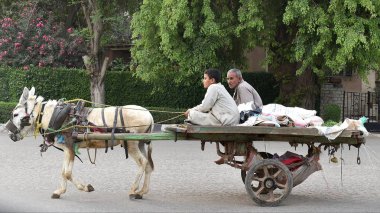 Cairo, Mısır - 20 Nisan 2018: çekti eşek arabası şehir sokak sürme borsacılar