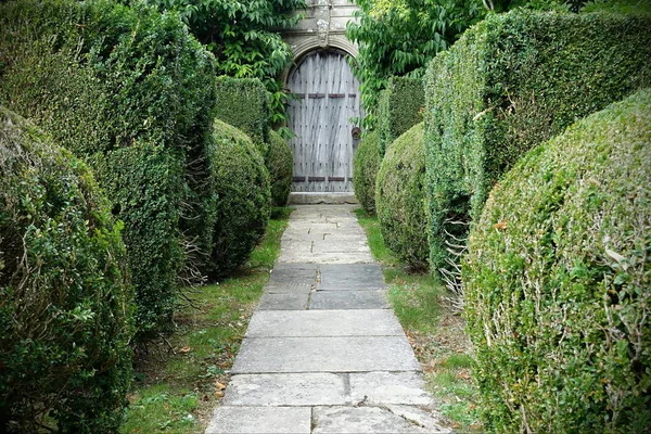 Scenic View of a Long Stone Paved Garden Path Lined with Lush Green Topiary Landscaping