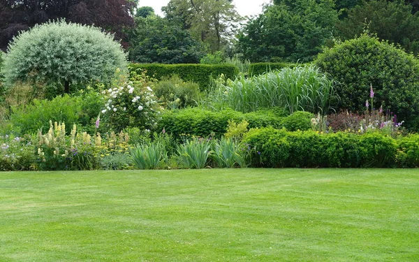 Spacious Green Lawn Park Trees Bushes Background — Stock Photo, Image