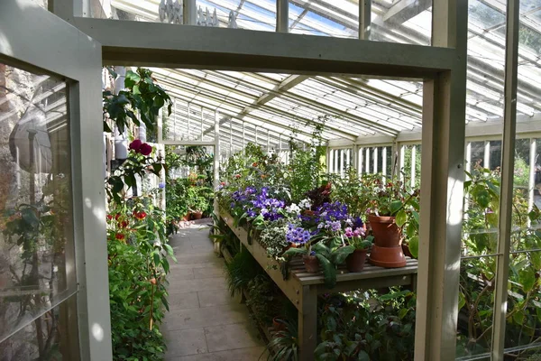 View of the Interior of a Greenhouse Growing Beautiful Flowers and Plants — Stock Image View Interior Greenhouse Growing Beautiful Flowers Plants Stock Image