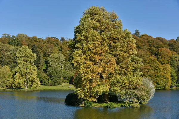 Vista Panoramica Degli Alberi Verdi Del Lago — Foto Stock