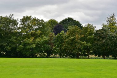 Güzel geniş yeşil Park
