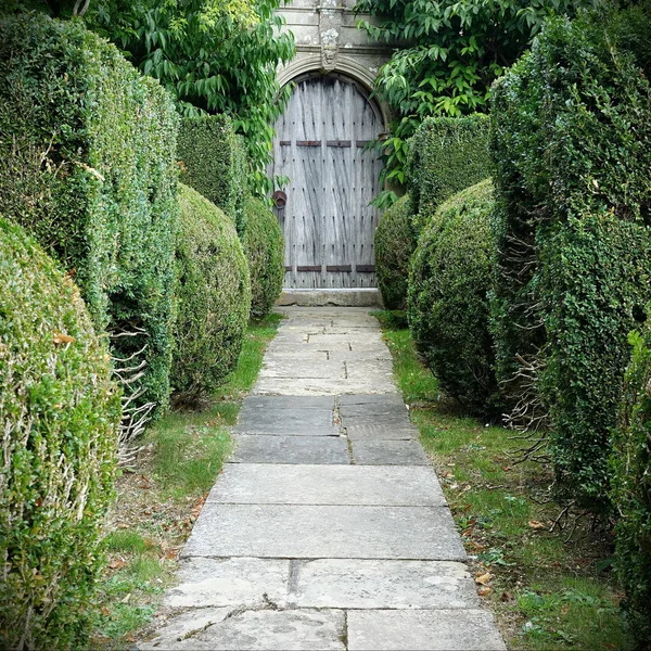 Tranquillo Colpo Panoramico Strada Ciottoli Giardino Verde — Foto Stock