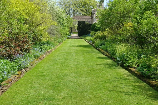 Tiro Cênico Tranquilo Belo Jardim Com Gramado Plano Verde — Fotografia de Stock