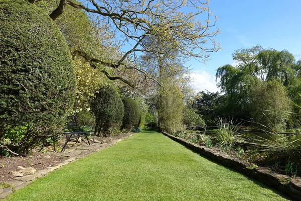 Tiro Cênico Tranquilo Belo Jardim Com Gramado Plano Verde — Fotografia de Stock