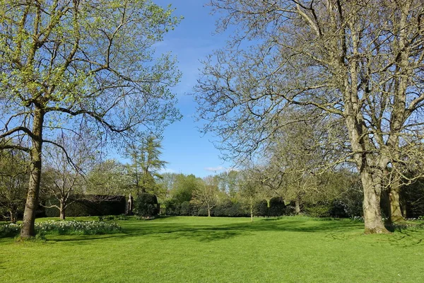 Tranquil Scenic Shot Beautiful Garden Green Flat Lawn — Stock Photo, Image