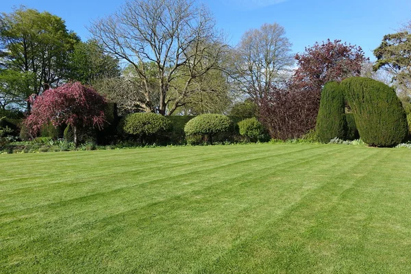緑の平らな芝生と美しい庭の静かな風光明媚なショット — ストック写真