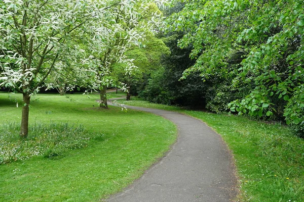 Tranquil Scenic Shot Asphalt Road Beautiful Green Garden — Stock Photo, Image
