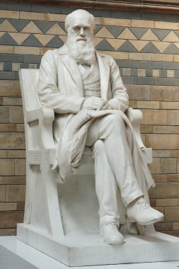 Charles Darwin 'in heykeli