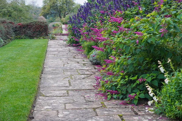 Belo Jardim Com Flores Plantas — Fotografia de Stock