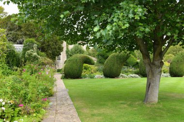 Şehirdeki yeşil bir park manzarası