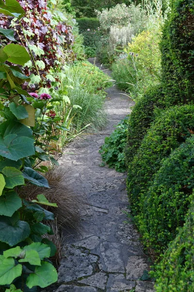 Park Garden Ścieżka Drzewami — Zdjęcie stockowe