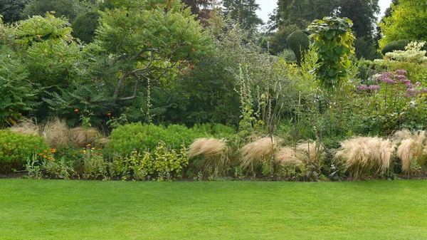 Grüner Rasen Sommergarten — Stockfoto