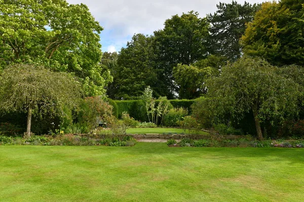 Pelouse Verte Dans Jardin Été — Photo