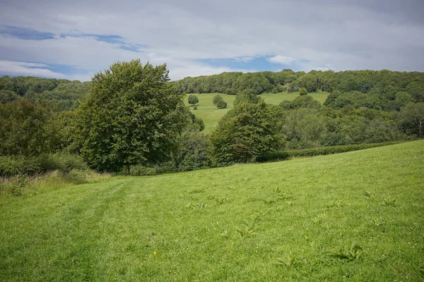 Green Field Blue Sky — Stock Photo, Image