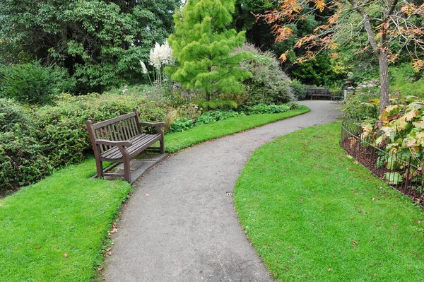 Stig Parken Med Grönska — Stockfoto