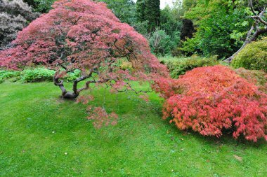 Parktaki güzel bahçe.