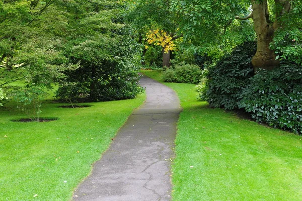 Stig Parken Med Grönska — Stockfoto