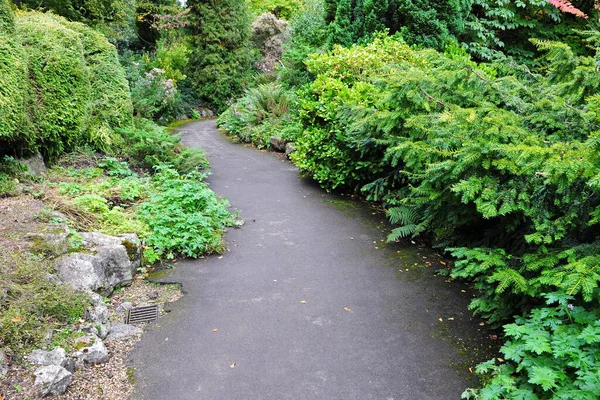 Grön Park Sommaren — Stockfoto