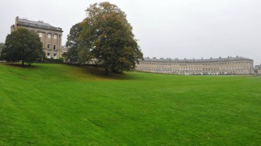 Büyük ağaç ve sisle çevrili yeşil çimenli eski bina.