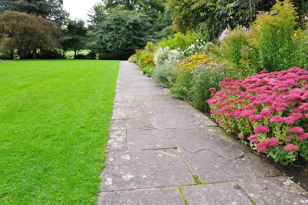 Grön Park Sommaren — Stockfoto