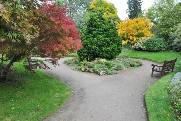 Grön Park Sommaren — Stockfoto