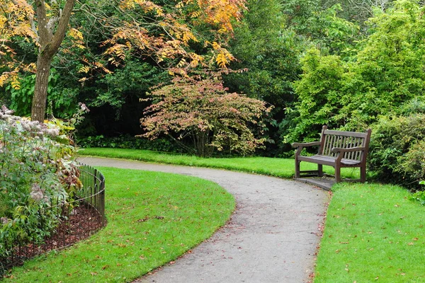 Grön Park Sommaren — Stockfoto