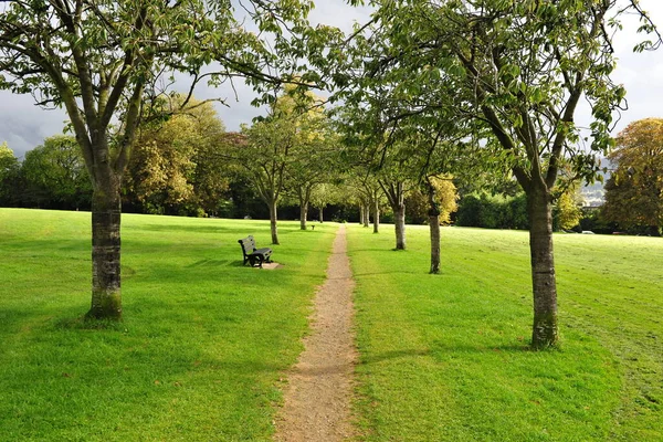 Grön Park Sommaren — Stockfoto