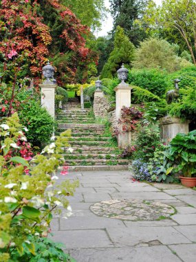 Çiçekleri ve bitkileri olan güzel bir bahçe.