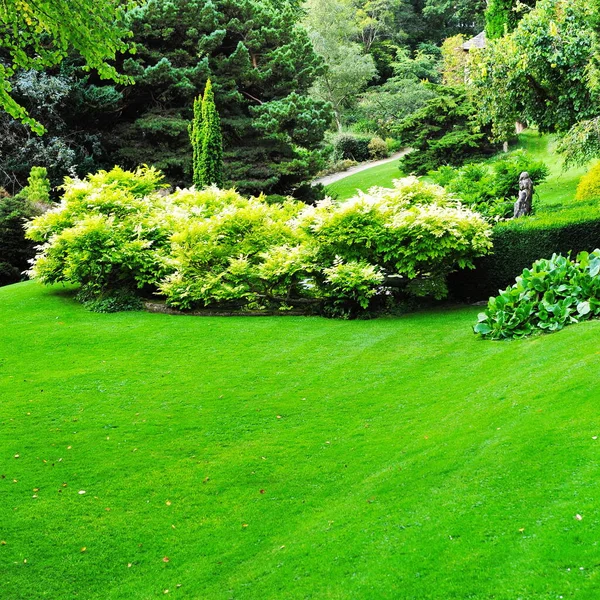 Beautiful Green Plants Garden — Stock Photo, Image