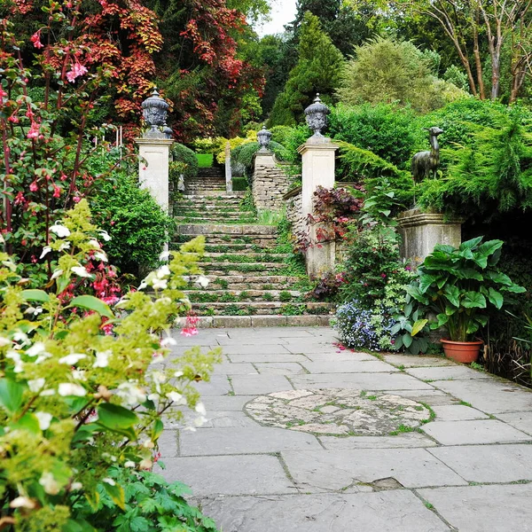 Hermoso Jardín Con Flores Plantas — Foto de Stock