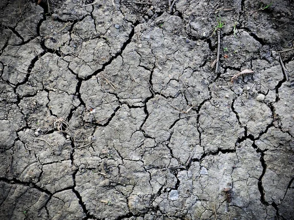 Torr Sprucken Jordstruktur — Stockfoto