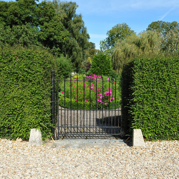 beautiful garden with flowers