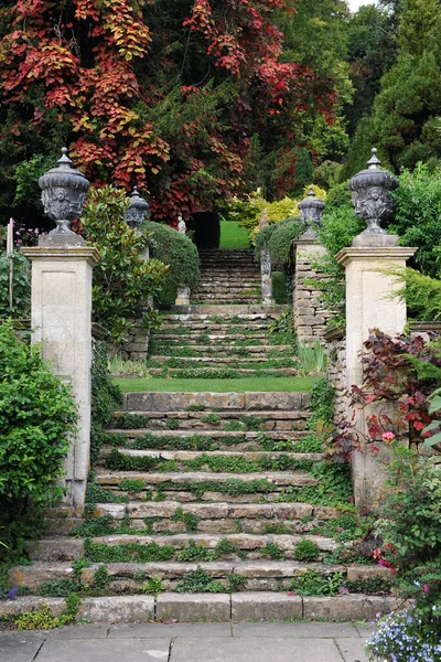 Escadas Pedra Parque Com Plantas — Fotografia de Stock