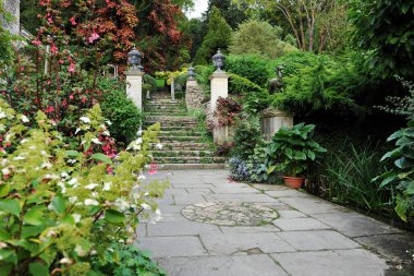 Çiçekleri ve bitkileri olan güzel bir bahçe.