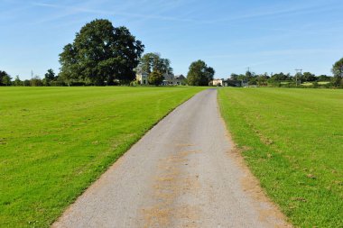 yeşil tarla ve mavi gökyüzü