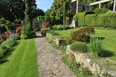 Çiçekleri ve bitkileri olan güzel bir bahçe.