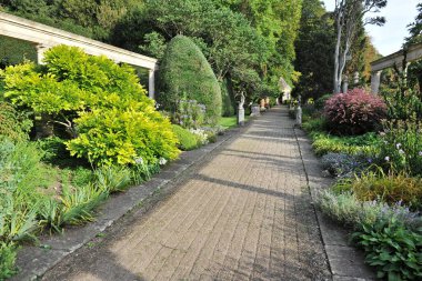 Çiçekleri ve bitkileri olan güzel bir bahçe.