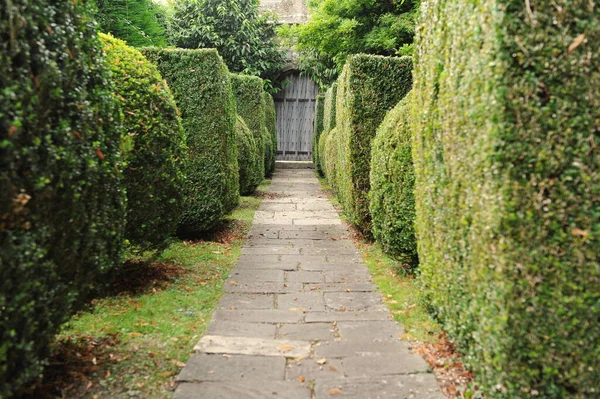 Stentrappor Parken — Stockfoto