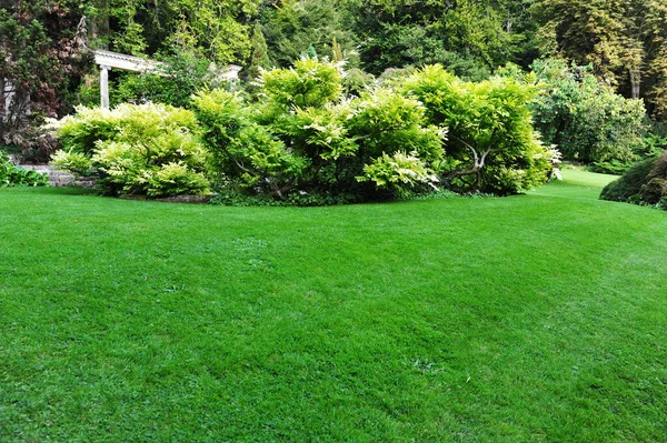 Green Lawn Small Garden — Stock Photo, Image