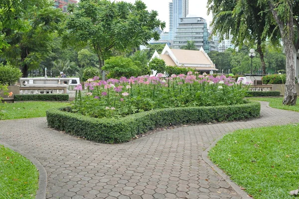 Hermoso Jardín Con Flores Césped — Foto de Stock