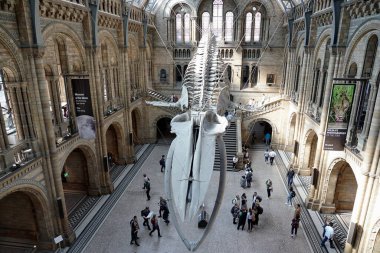 İnsanlar 6 Haziran 2019 'da Londra, İngiltere' deki Doğal Tarih Müzesini ziyaret ediyor.. 