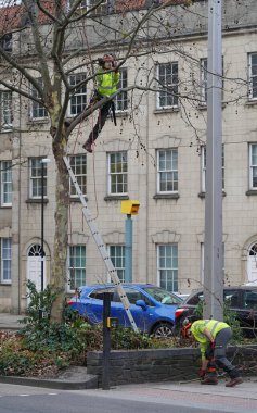 A tree surgeon carries out work on a tree on a city centre street on January 3, 2019 in Bristol, UK.