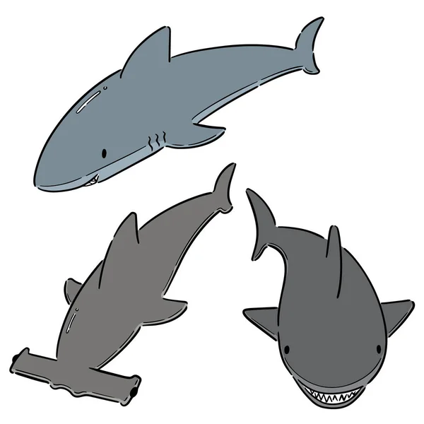 Conjunto Vetorial Tubarões —  Vetores de Stock