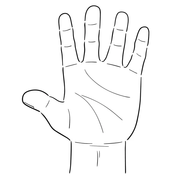 Vector Cartoon Hand — Stock Vector