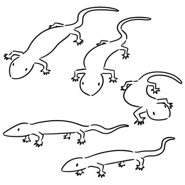 vektör set kertenkele