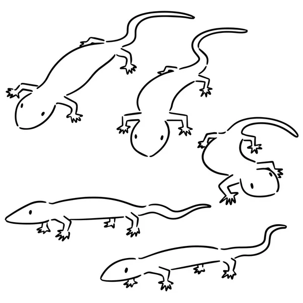 Ensemble Vectoriel Lézards — Image vectorielle