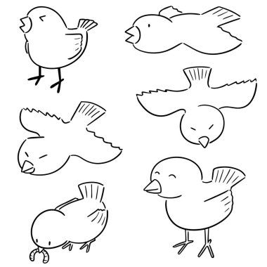 kuşun vektör kümesi