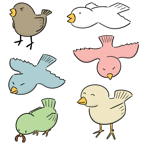 Vector Conjunto Aves — Vector de stock