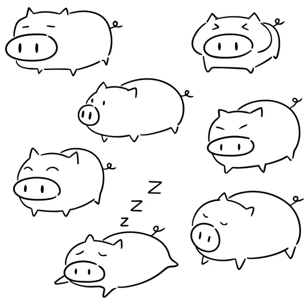 Векторний Набір Свині — стоковий вектор